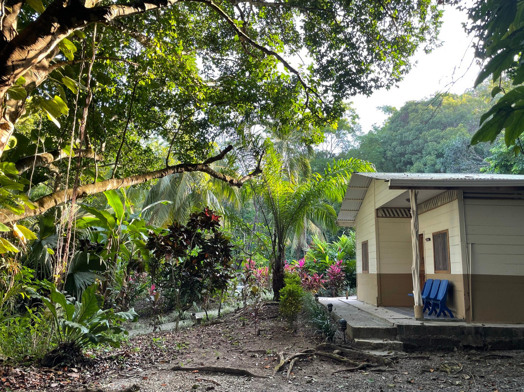 Star Mountain Jungle Lodge主图