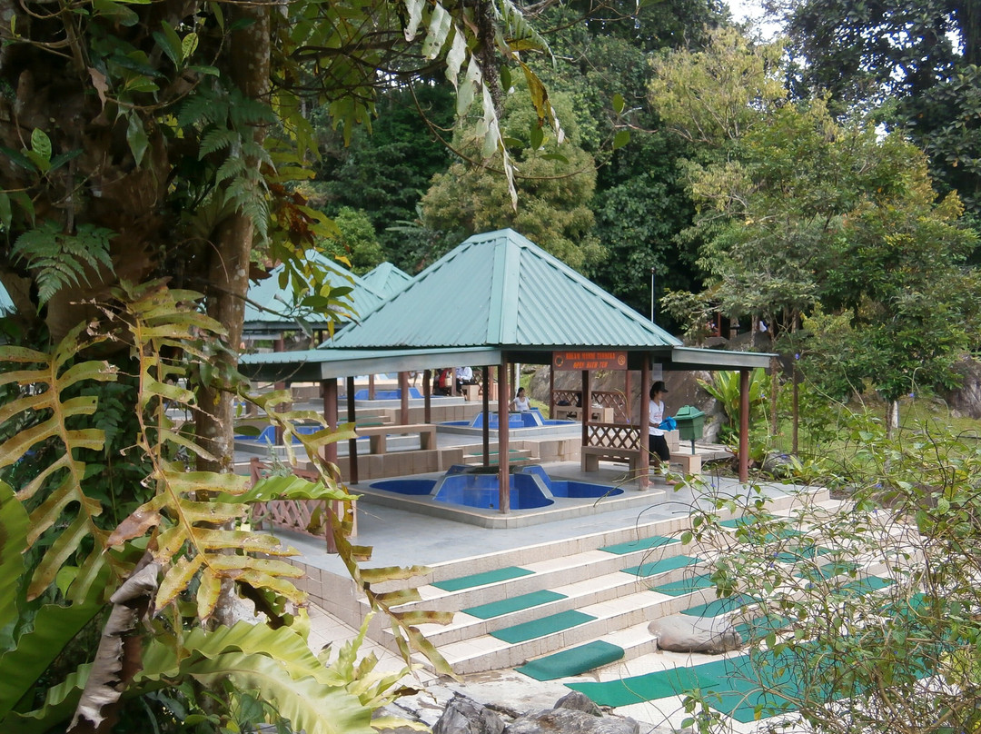 Full day Kinabalu Park + Bamboo Spring Tour-昆达山必去景点