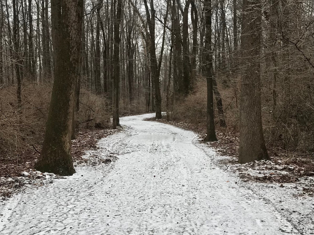 Greenway Trail-帕迪尤卡必去景点