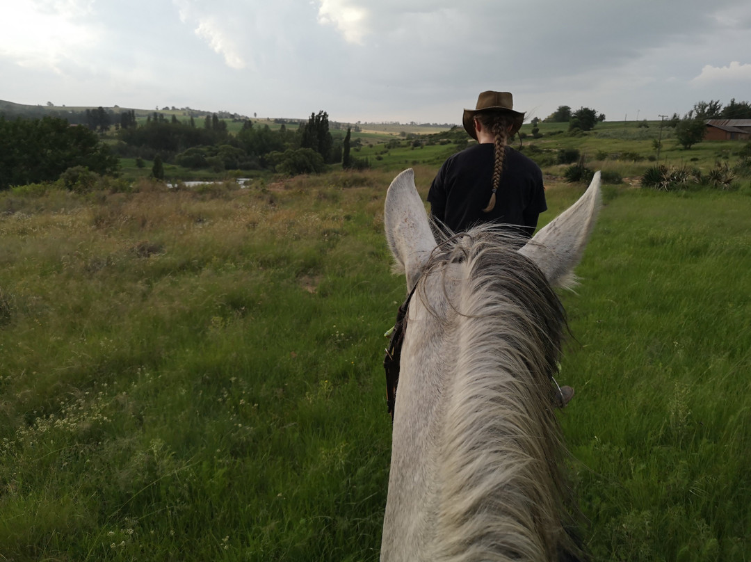 Ventersberg Stables-Fouriesburg必去景点