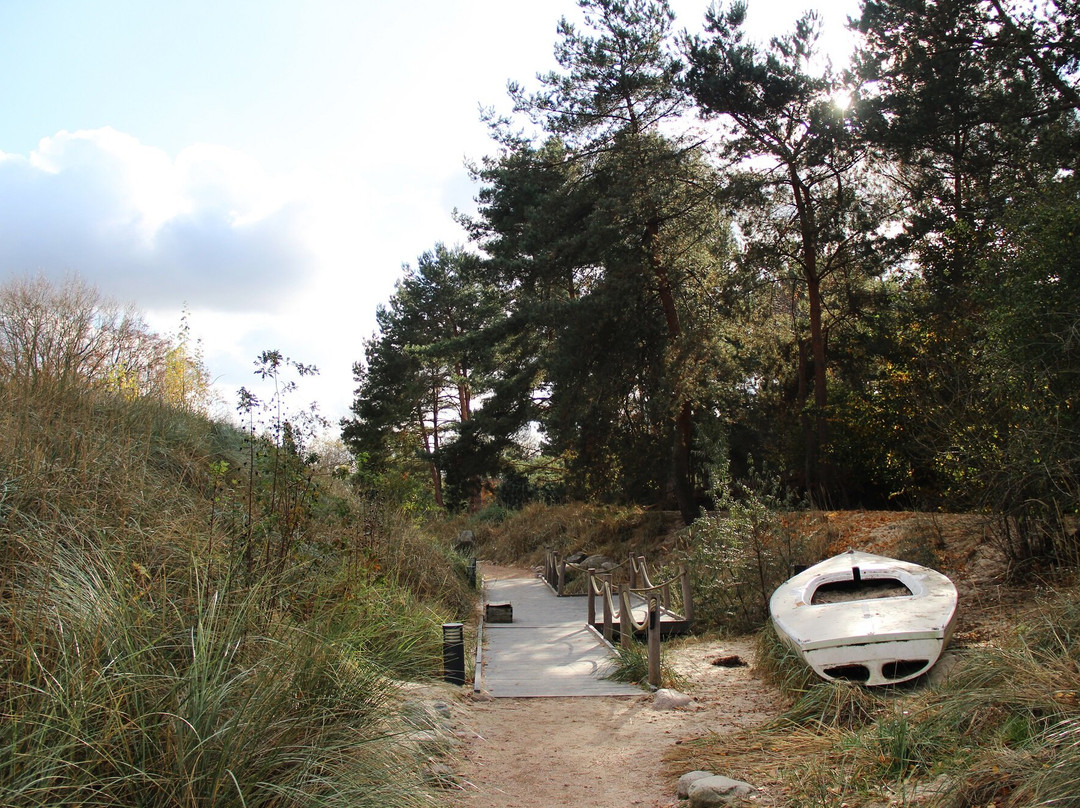 Botanical garden Rombergpark景点图片
