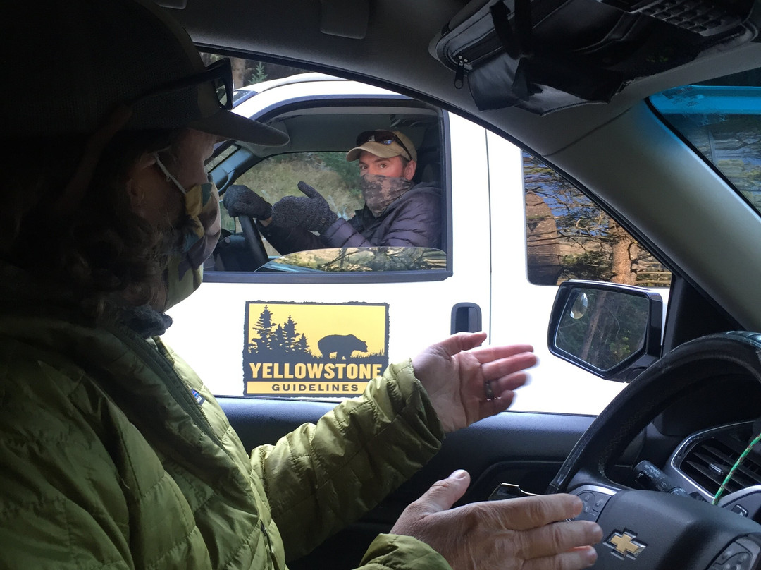 Yellowstone Insight - Day Tours景点图片