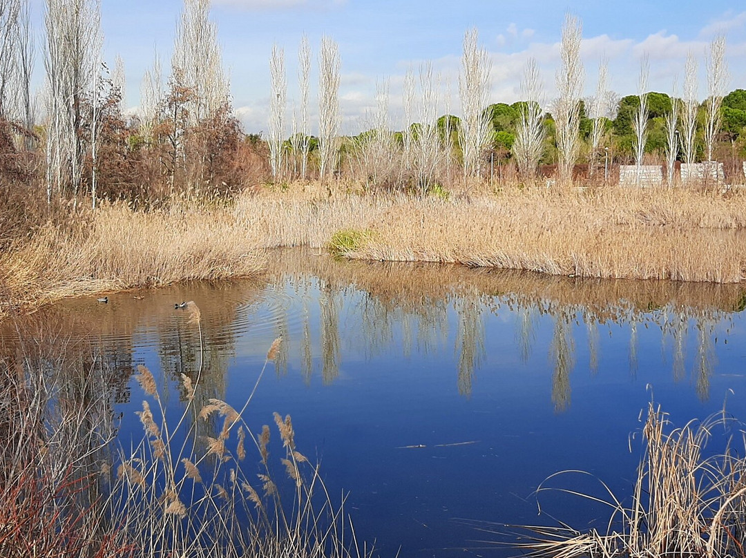 Parc De La Llacuna-Montcada i Reixac必去景点