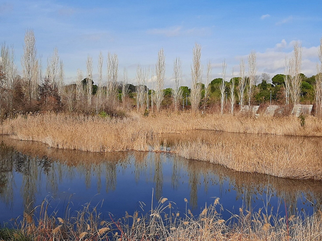 Parc De La Llacuna-Montcada i Reixac必去景点