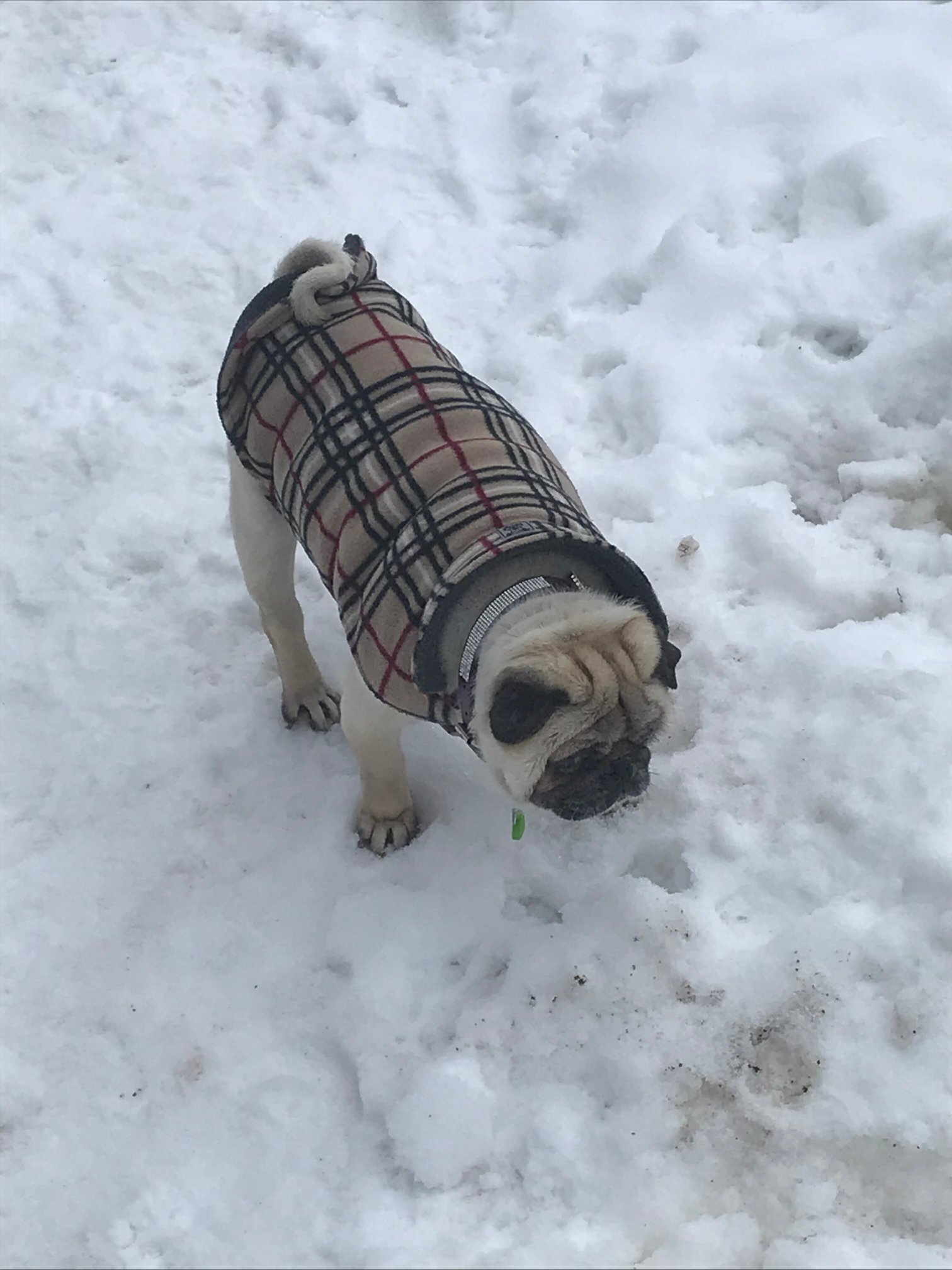 Lakeside Hotel Casino-官方