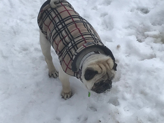 Diagonal酒店住宿-Lakeside Hotel Casino