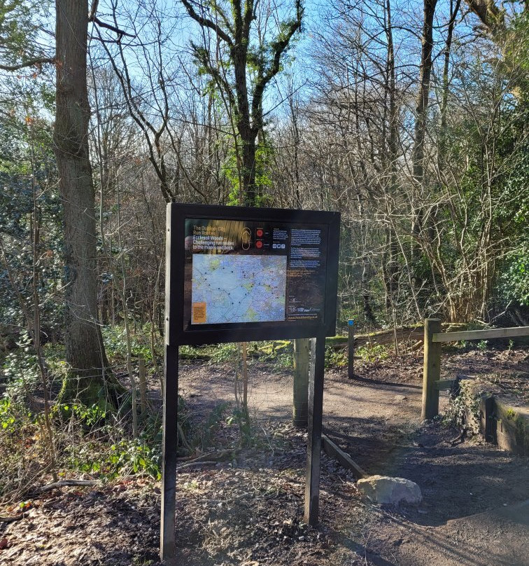 Ecclesall Woods-谢菲尔德必去景点