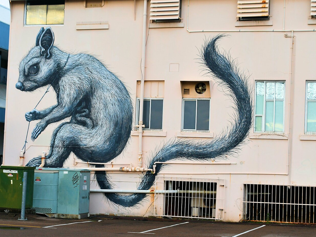 Street Art CBD Walking Trails-汤斯维尔必去景点
