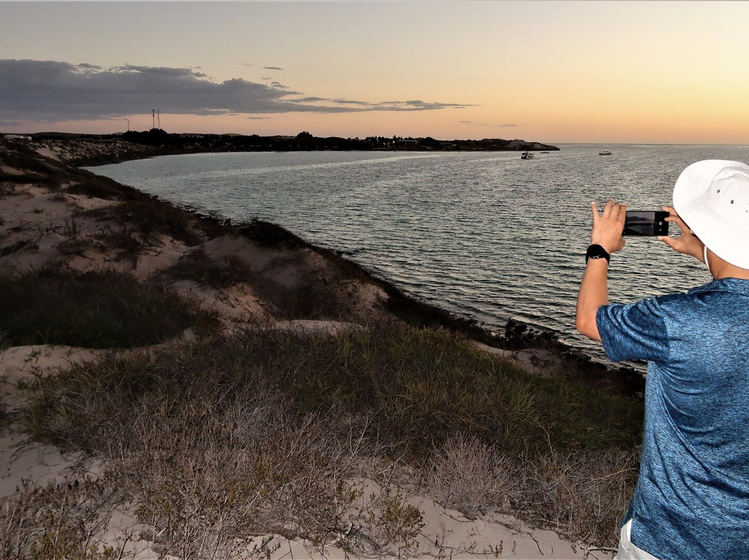 The Coral Bay Shark Nursery-珊瑚湾必去景点