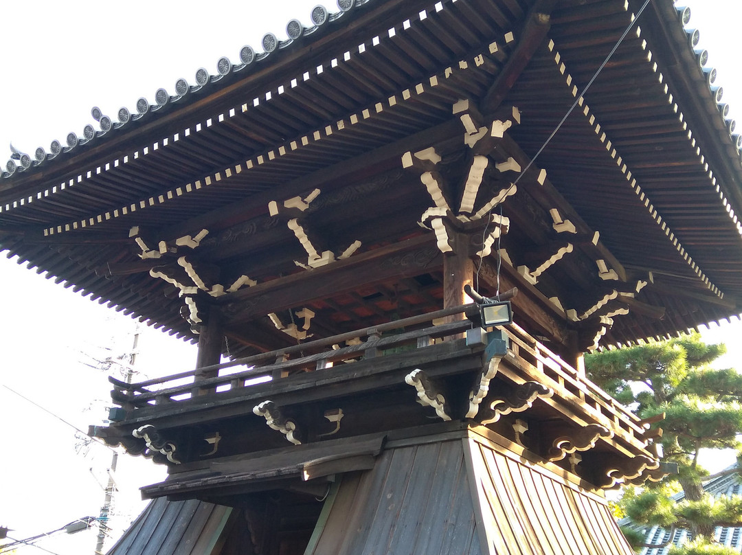 Fujii-dera Kannon Temple-藤井寺市必去景点