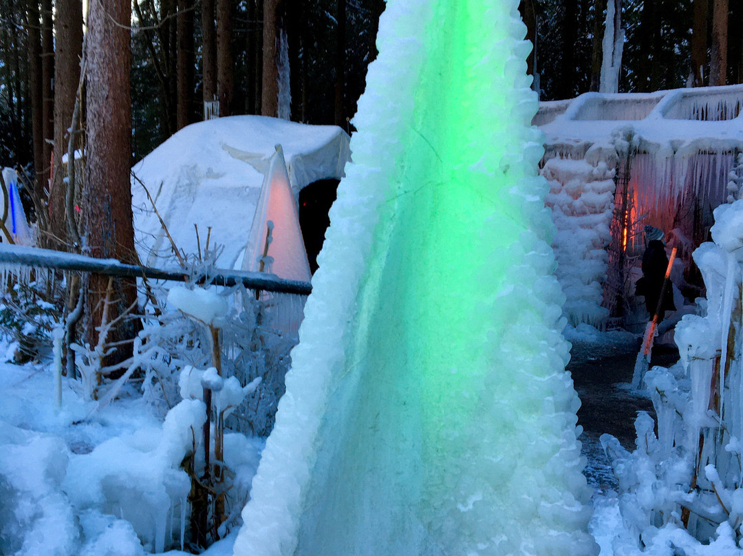 Ice palaces Schwarzsee景点图片