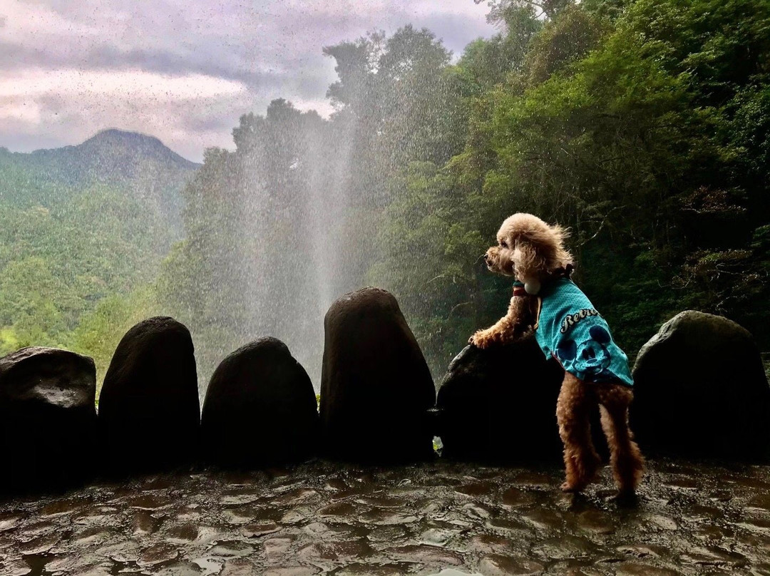 宁德鸳鸯溪-屏南县必去景点