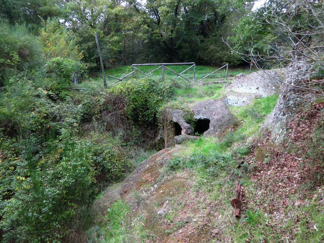 Necropoli dei Tre Ponti景点图片