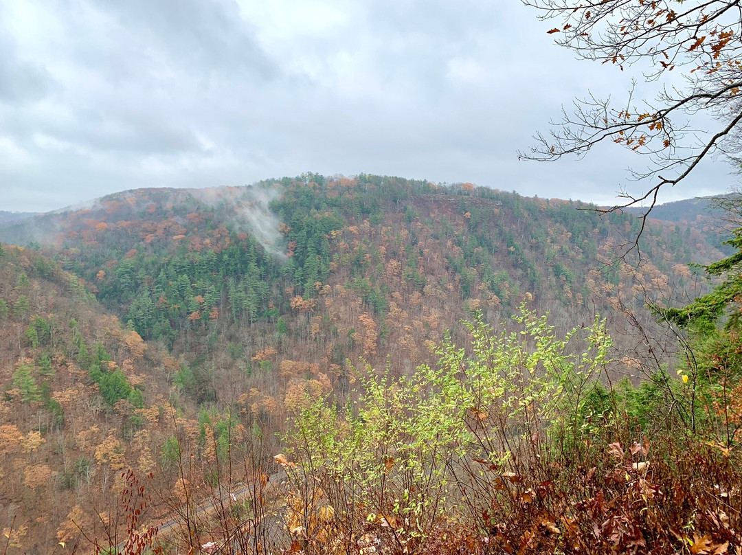 Colton Point State Park景点图片
