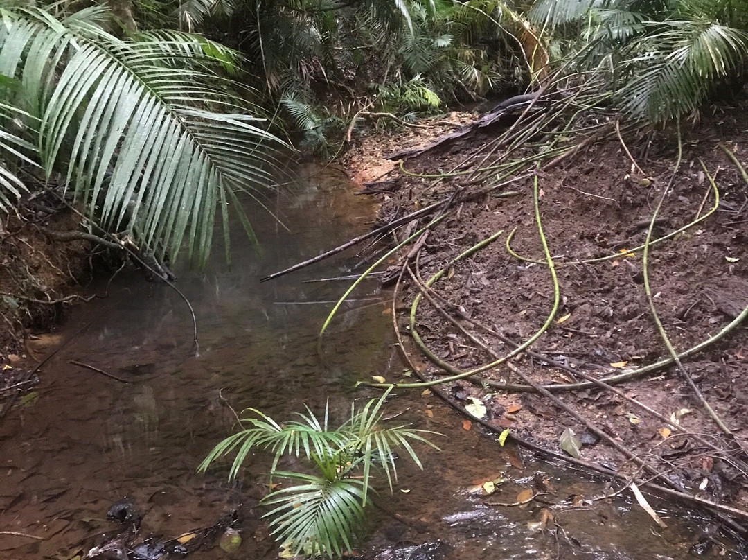 Glacier Rock Lookout-库兰达必去景点