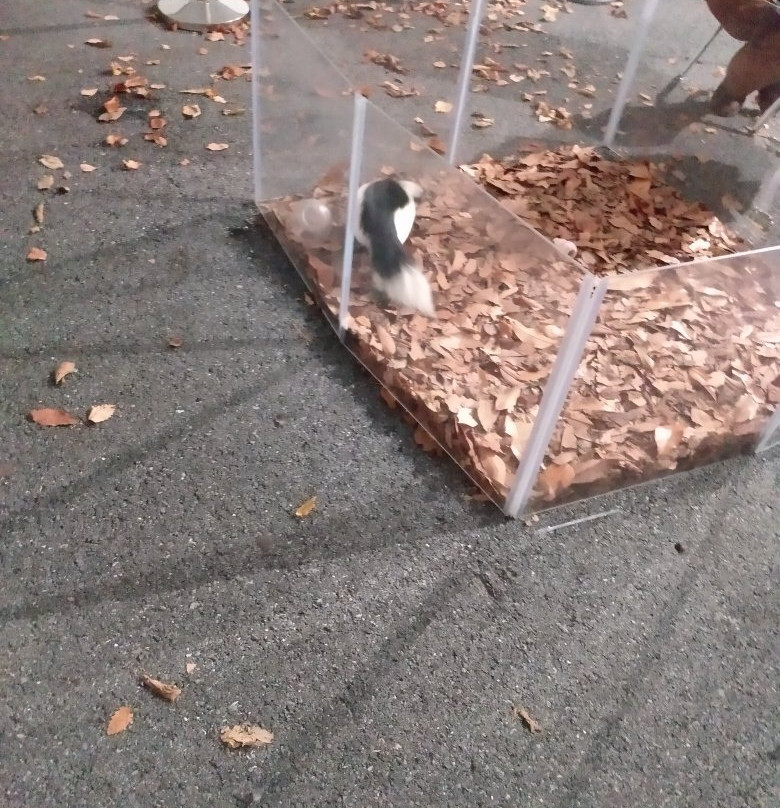 ZooAmerica North American Wildlife Park-好时镇必去景点