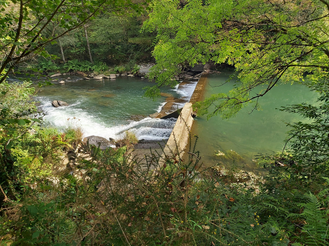 Parque Natural Fragas do Eume景点图片