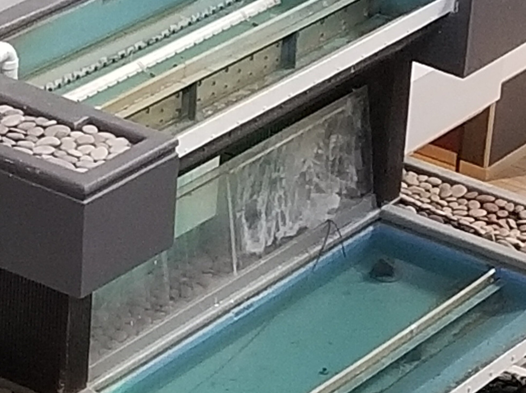 Holiday Inn & Suites Beaumont-Plaza (I-10 & Walden) by IHG主图