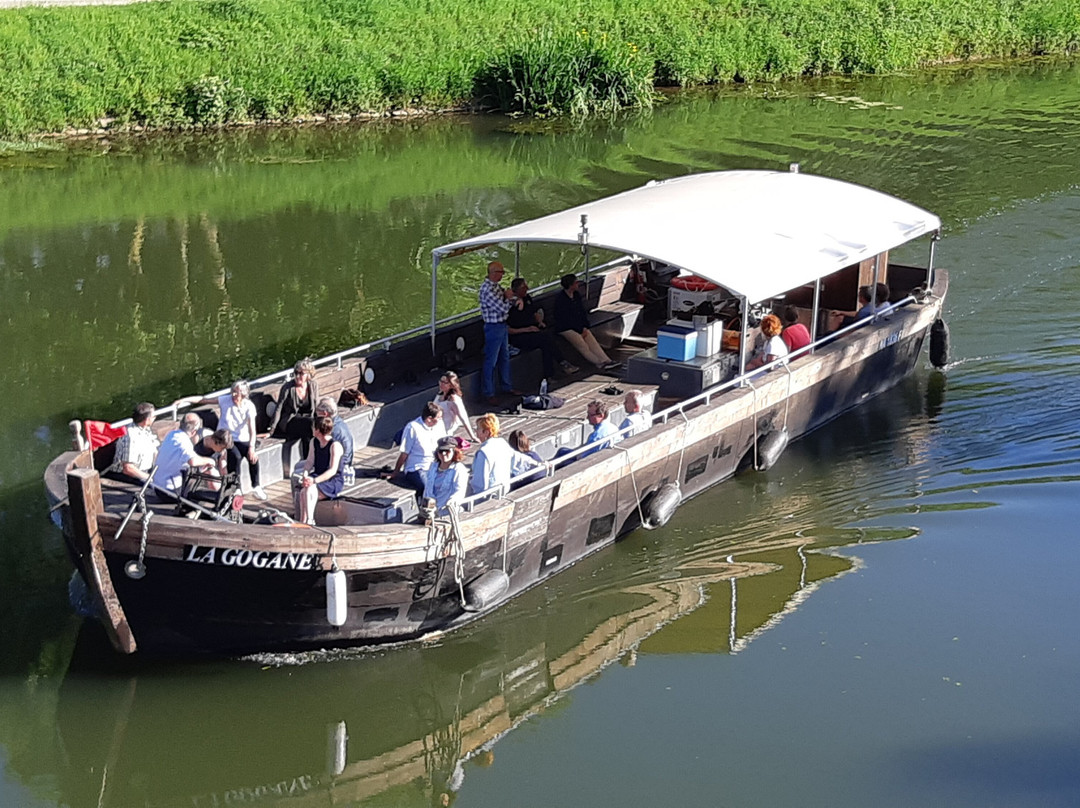 Bateau Croisière La Gogane景点图片