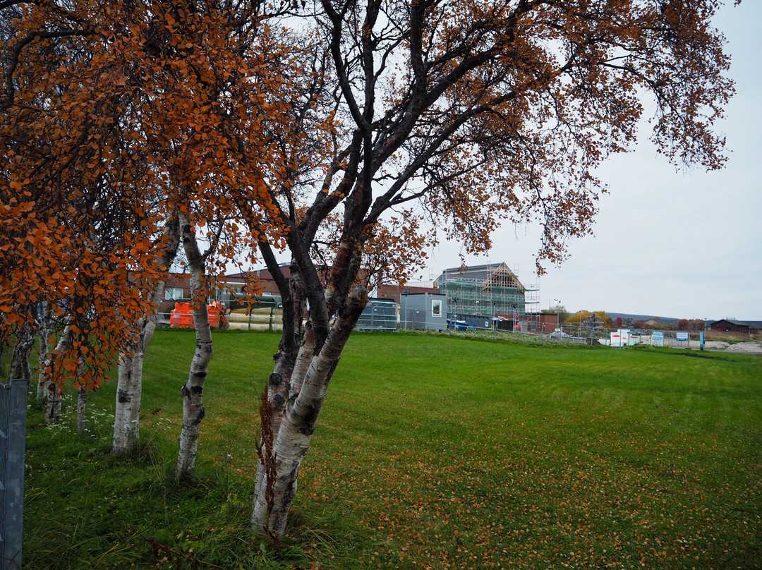 Vadsø museum - Ruija kvenmuseum景点图片