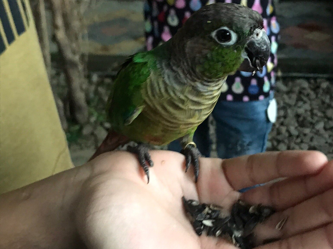 Nisargadhama Exotic Bird Park-Baichanalli必去景点