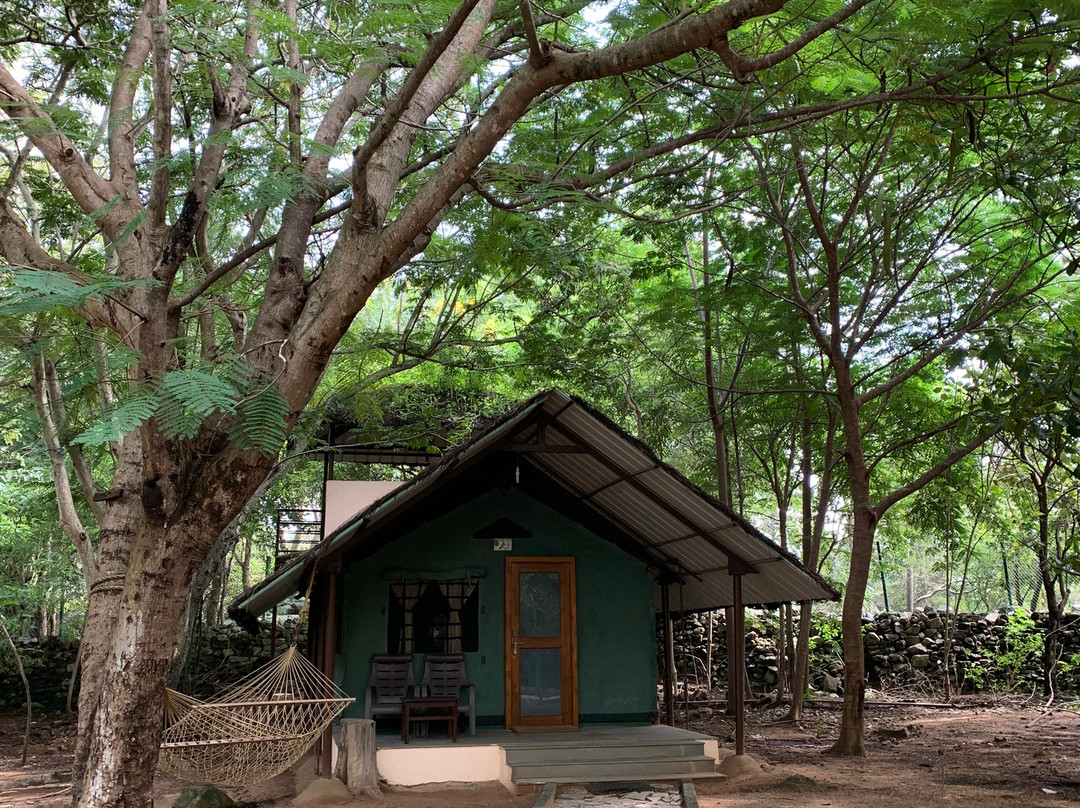 Bannerghatta Nature Camp主图