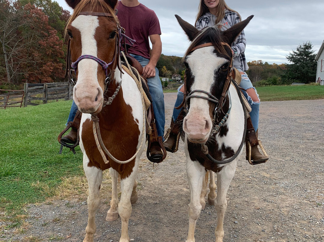 Rocking S Ranch-温切斯特必去景点