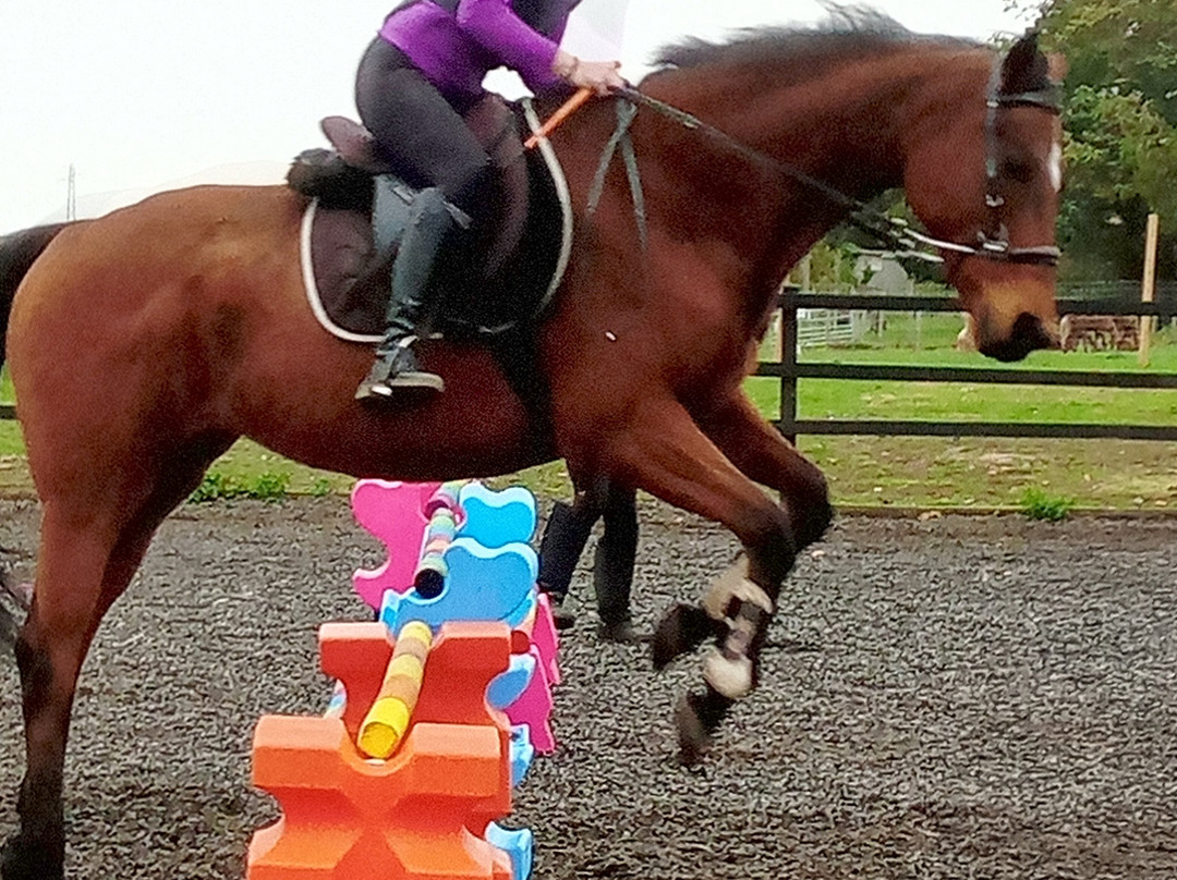 Montys Equestrian Centre景点图片