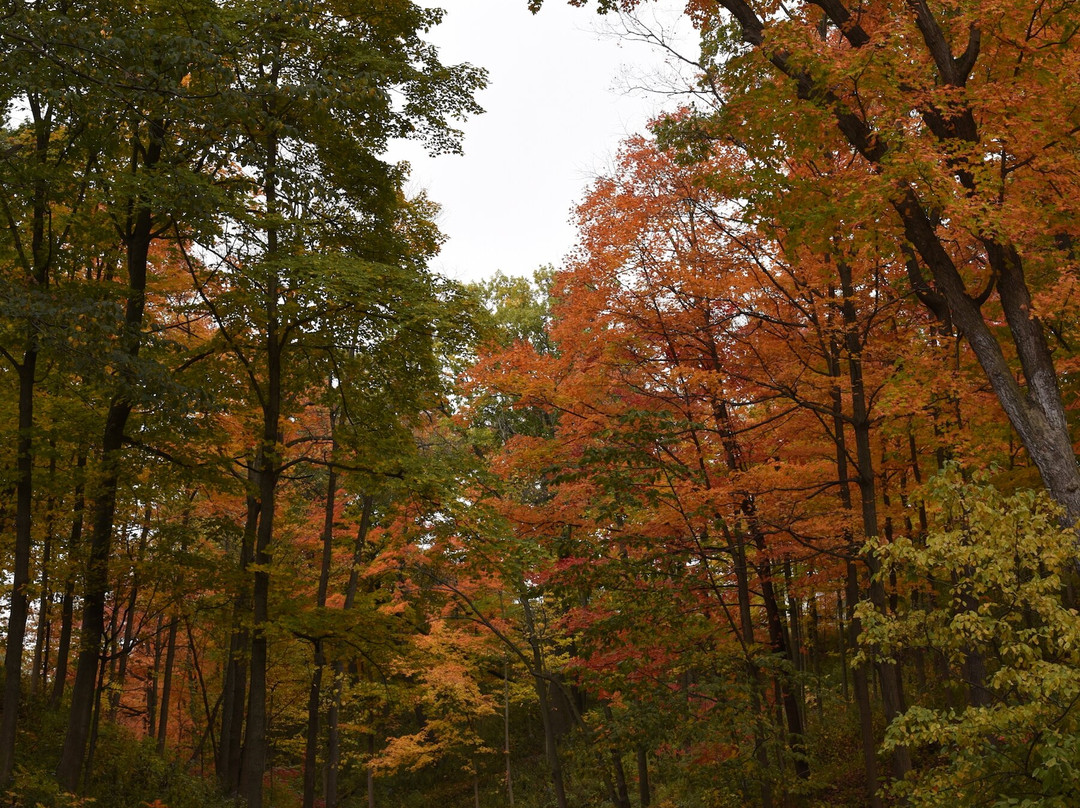Openlands Lakeshore Preserve-Highland Park必去景点