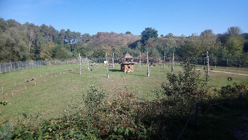 Rodelbahn & Affenwald in Malchow景点图片