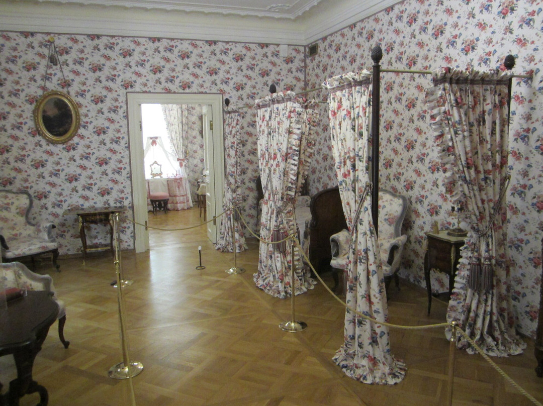 Menshikov's Great Palace景点图片