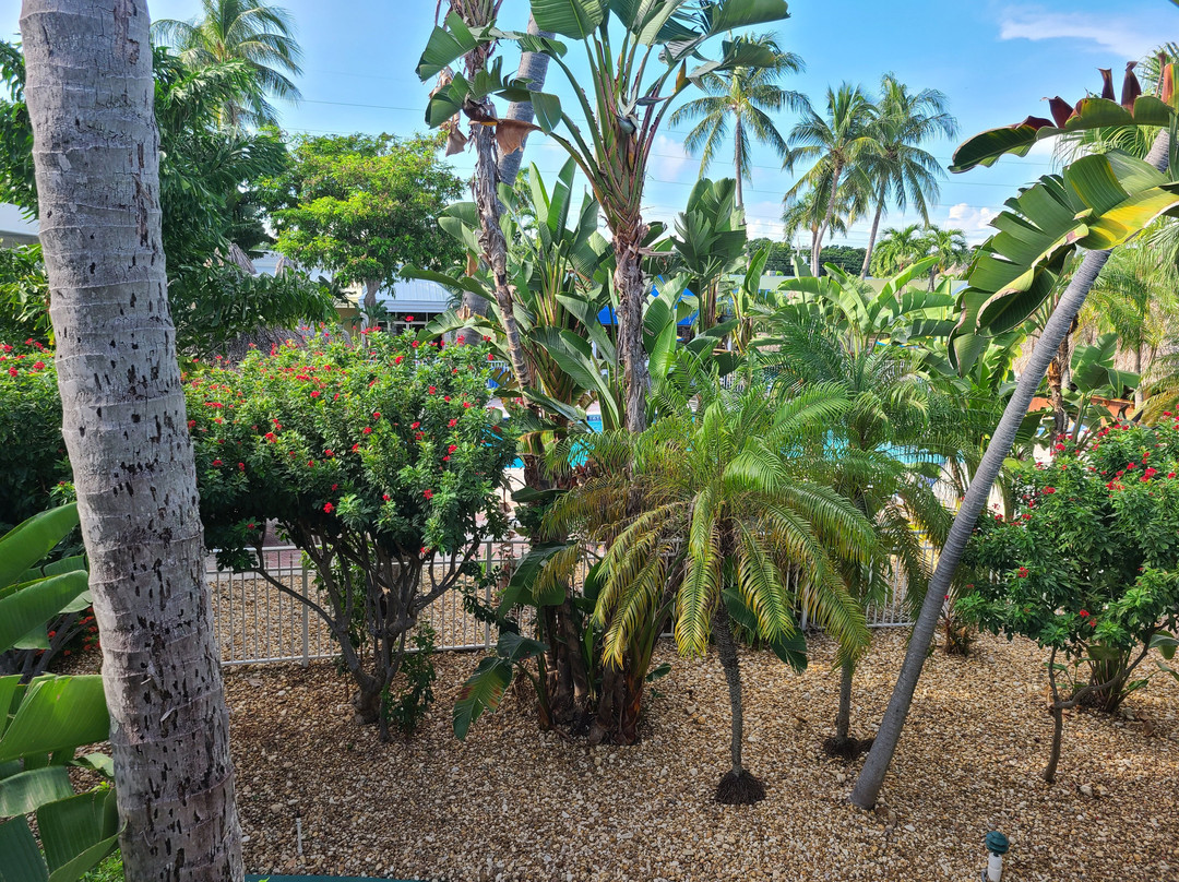 基拉戈假日酒店主图