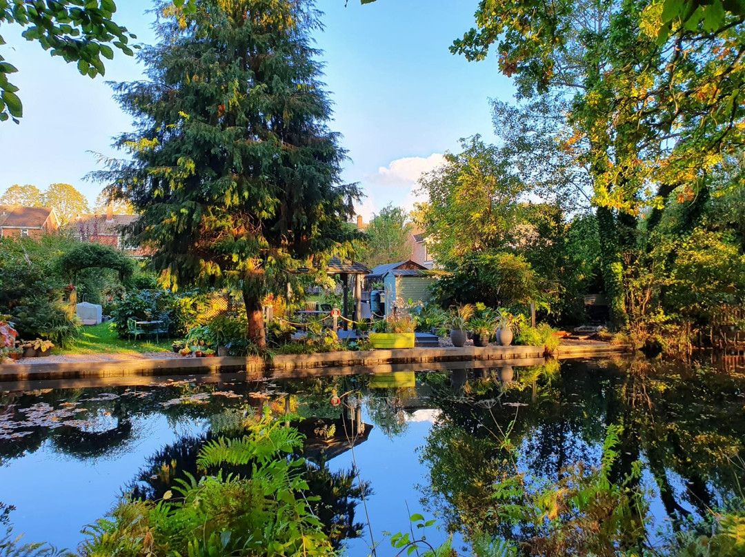 Basingstoke Canal景点图片