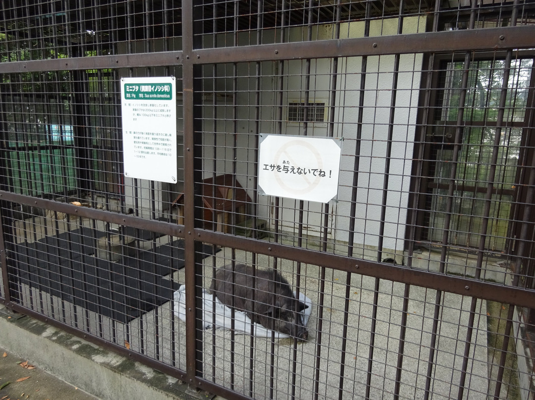Satsukiyama Zoo-池田市必去景点