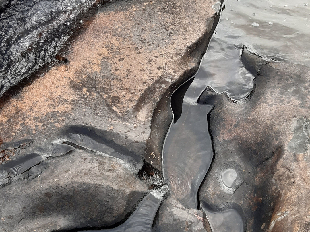 Espacio Tao Sierras De Aigua-Aigua必去景点