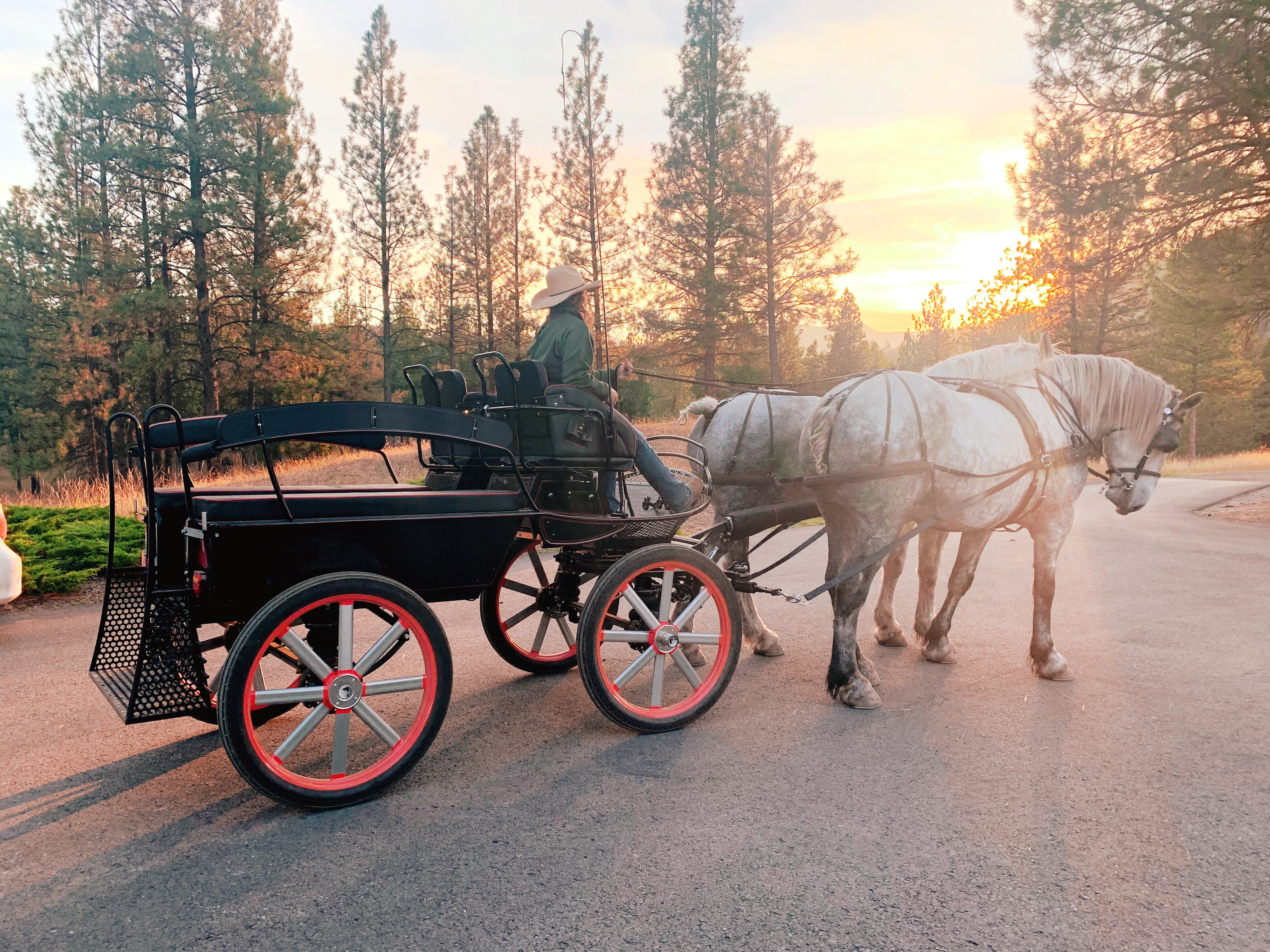 Riverview Ranch Retreat & Western Adventures-浴室