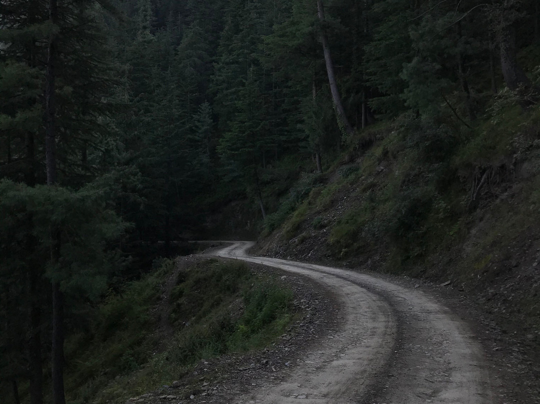 Zostel Homes Theog (Shimla)主图