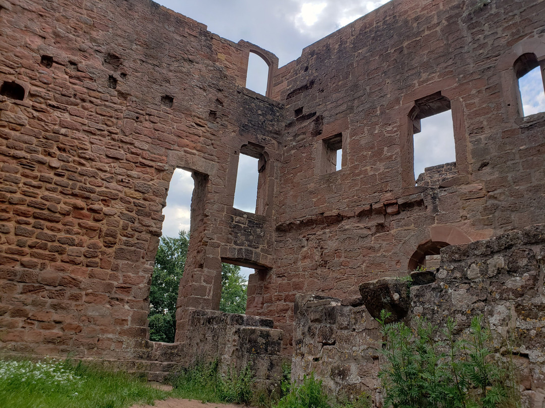 Burg Hohenecken景点图片