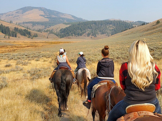Yellowstone Rough Riders-西黄石镇必去景点