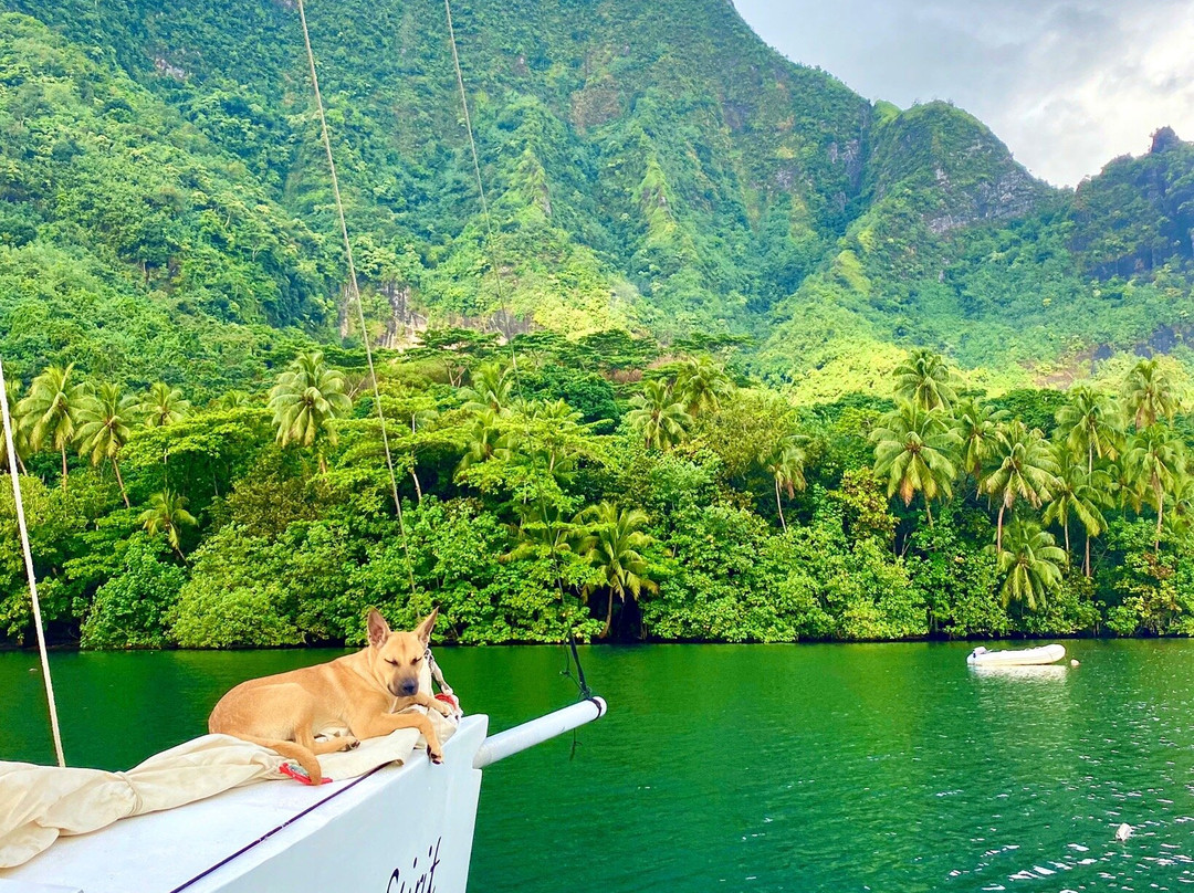 Polynesian Spirit景点图片
