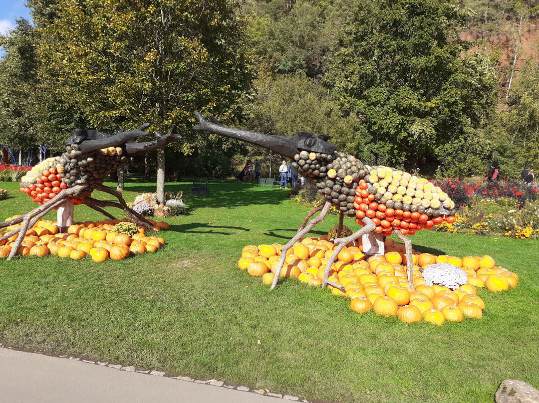 Gartenschau Kaiserslautern景点图片