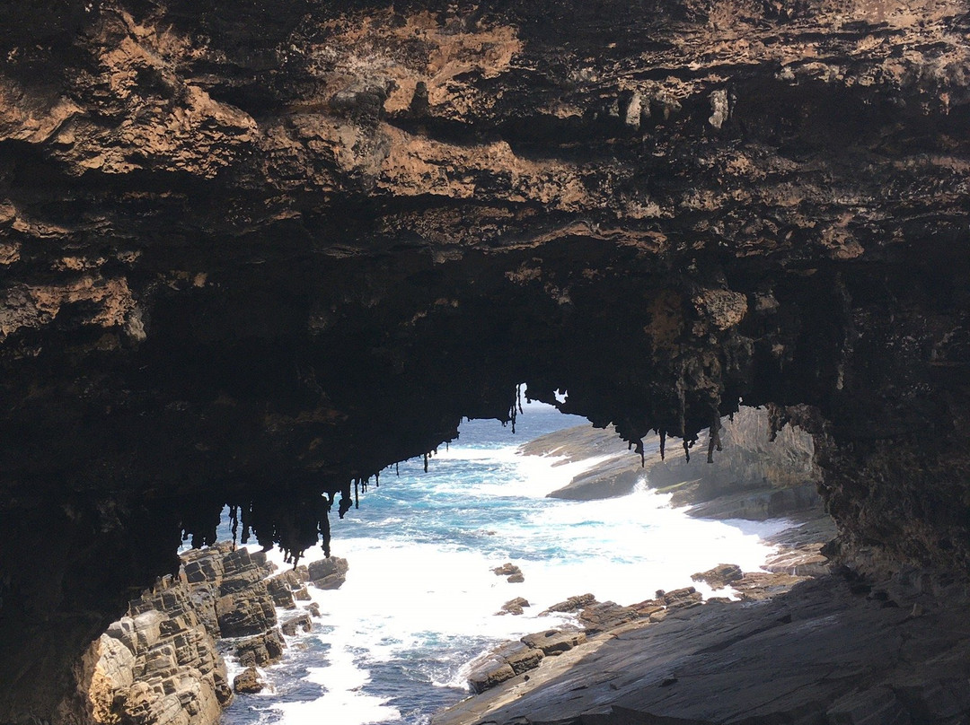 kangaroo island Admiral Arch景点图片