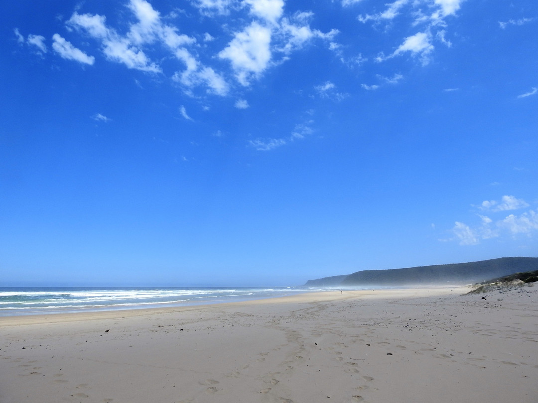 Natures Valley Beach-自然谷必去景点