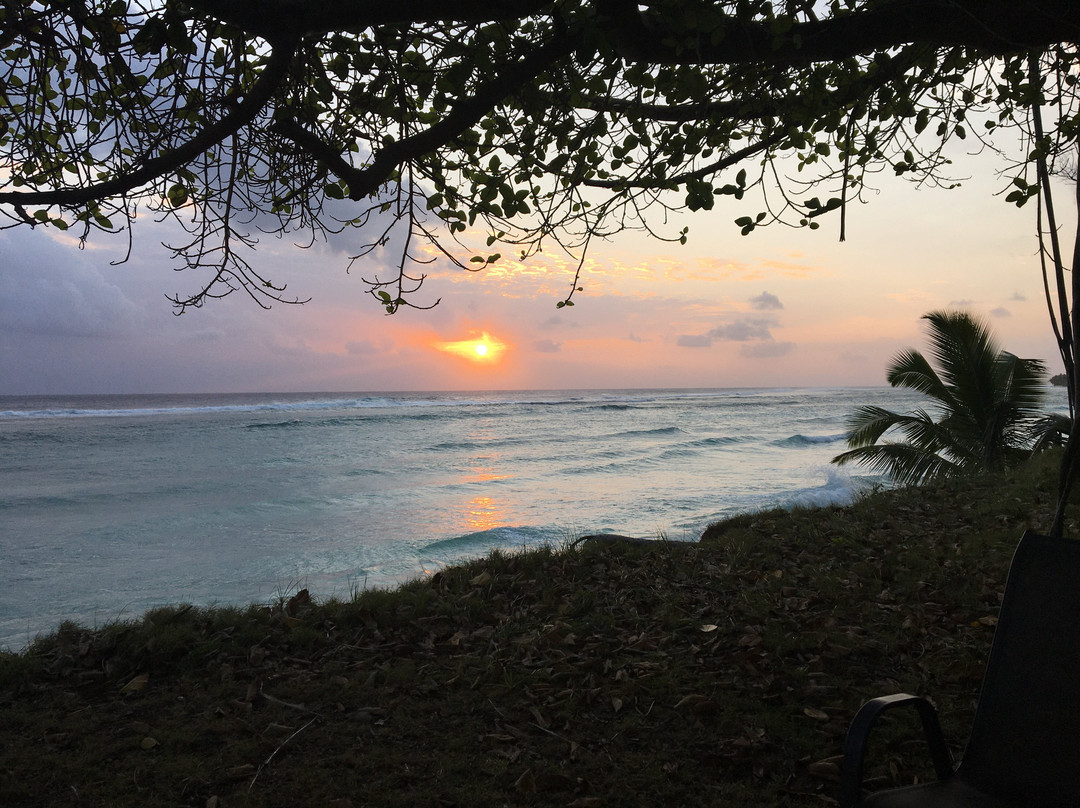 科科斯度假饭店主图