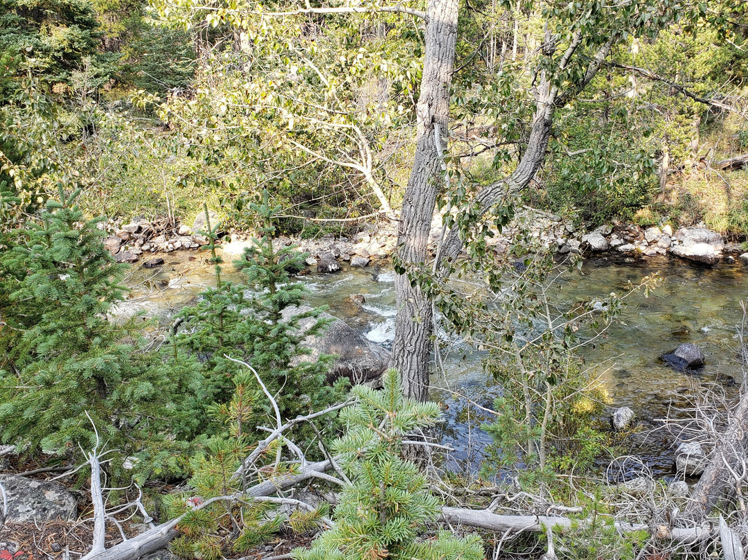 Silver Run Trails-雷德洛治必去景点