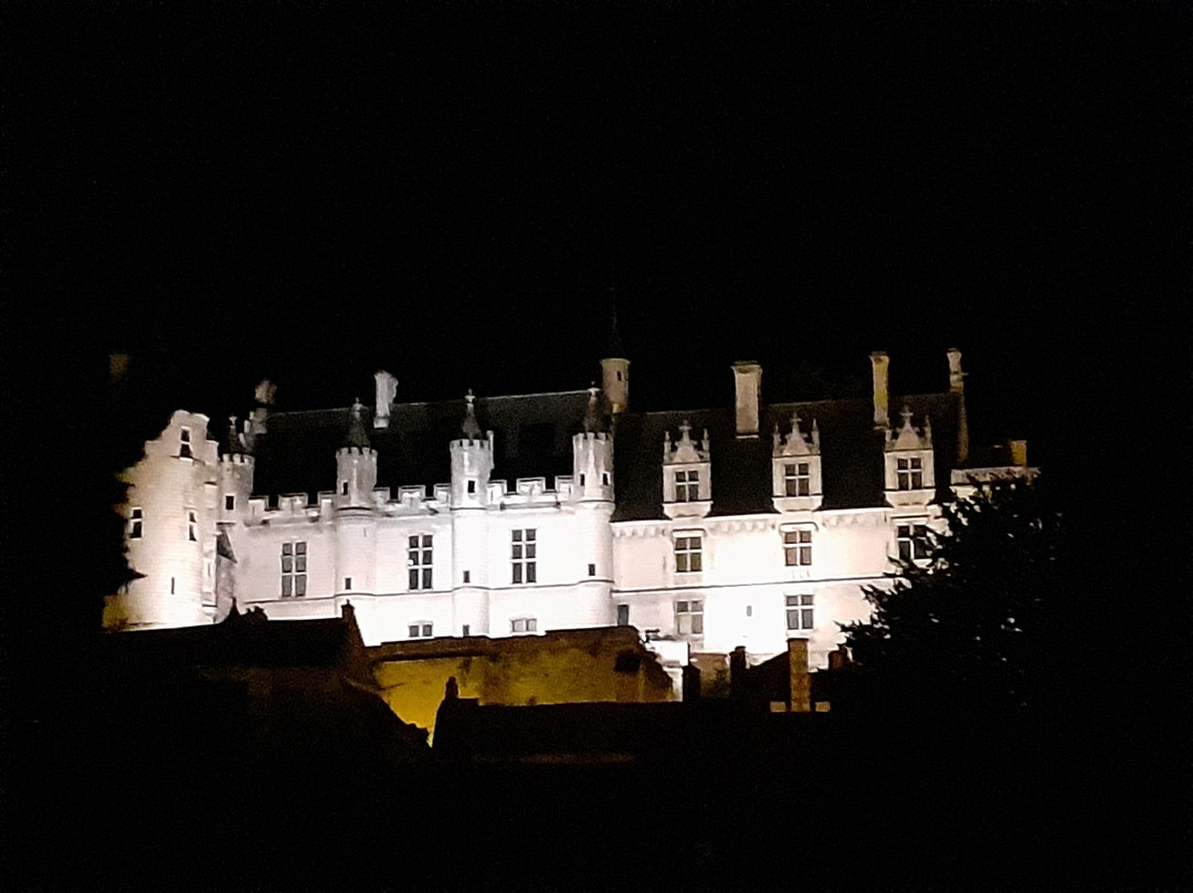 Remparts de la Citadelle景点图片