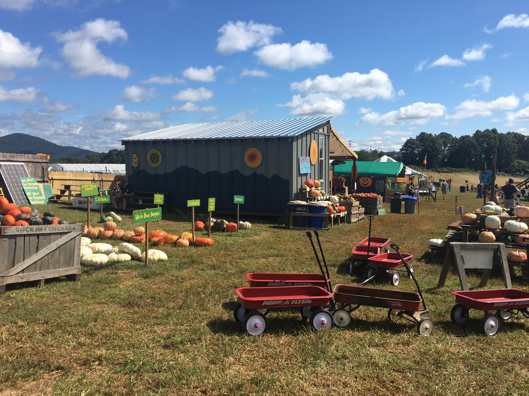 Blue Ridge Mountain MAze-Lovingston必去景点