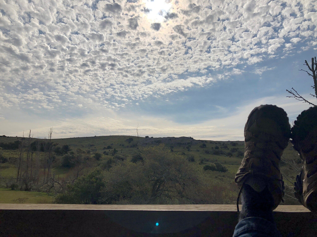 Valle del Hilo de la Vida-Minas必去景点