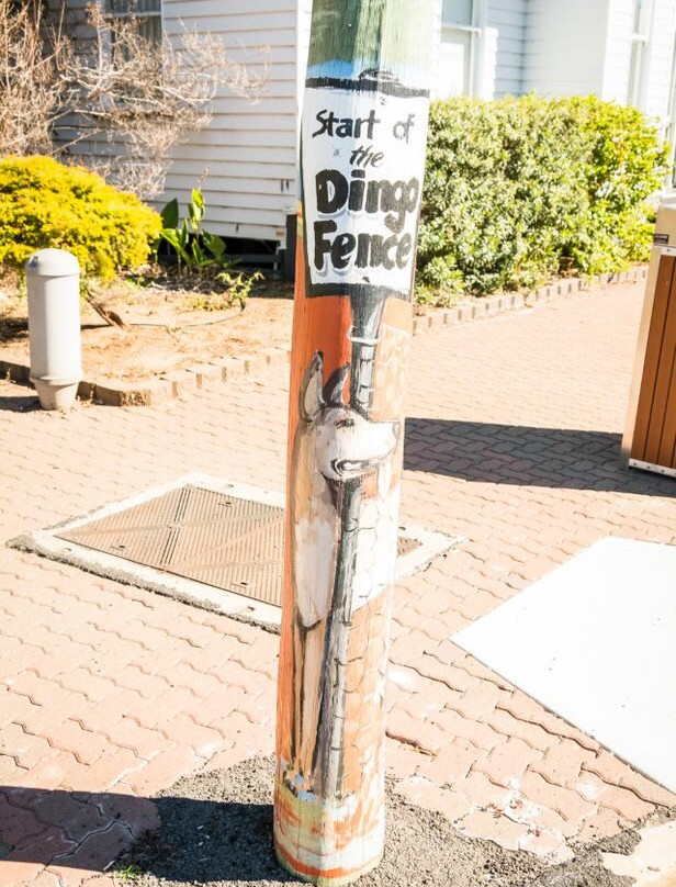 Painted Power Pole Walk