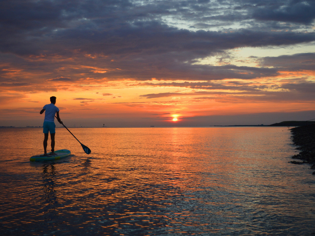 Catalina SUP-Tholen必去景点
